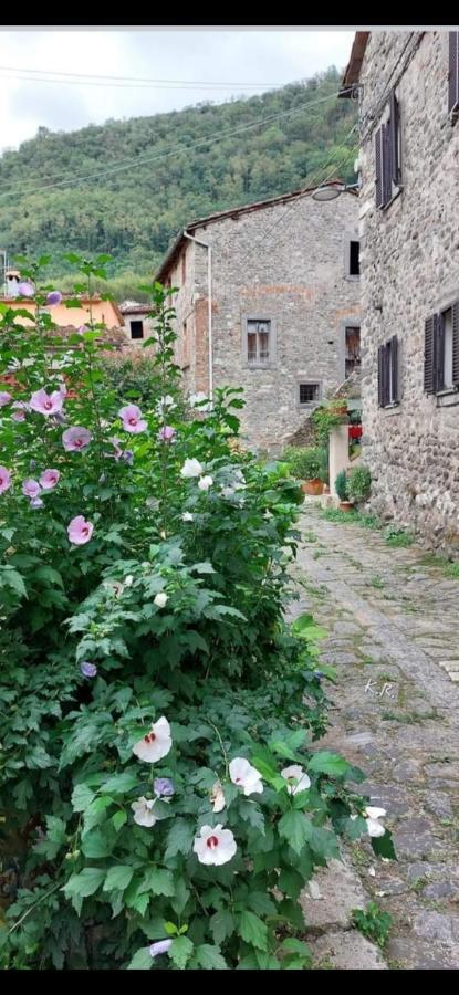 דירות בורגו א מוצאנו La Locanda Di Nonna Jolanda מראה חיצוני תמונה