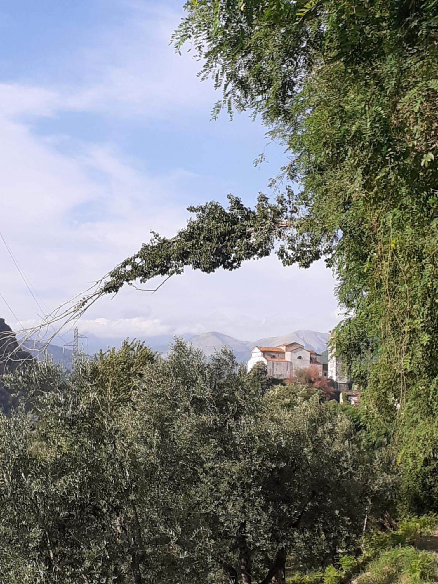 דירות בורגו א מוצאנו La Locanda Di Nonna Jolanda מראה חיצוני תמונה