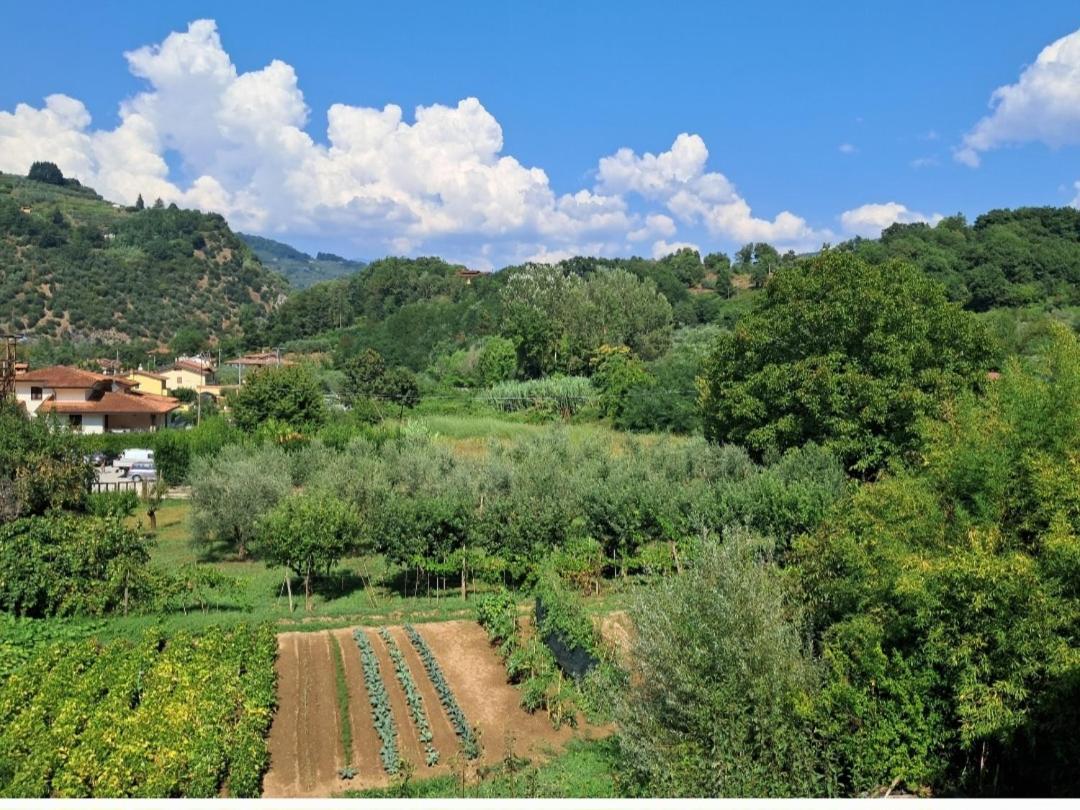 דירות בורגו א מוצאנו La Locanda Di Nonna Jolanda מראה חיצוני תמונה